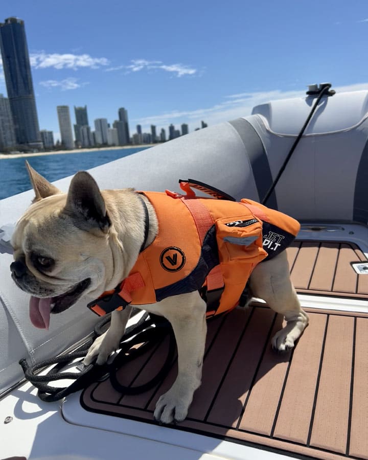 VENTURE DOG PFD - Jet PilotJA23014 - Orange - S