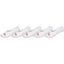 Womens Stealth Sock 5 Pack -GlobeGB11718001-6-10-white